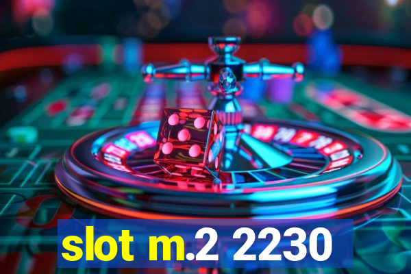 slot m.2 2230