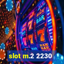 slot m.2 2230