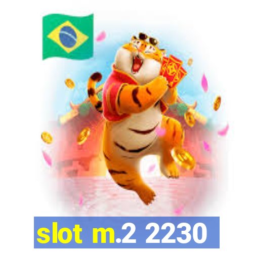 slot m.2 2230