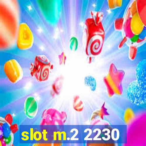 slot m.2 2230