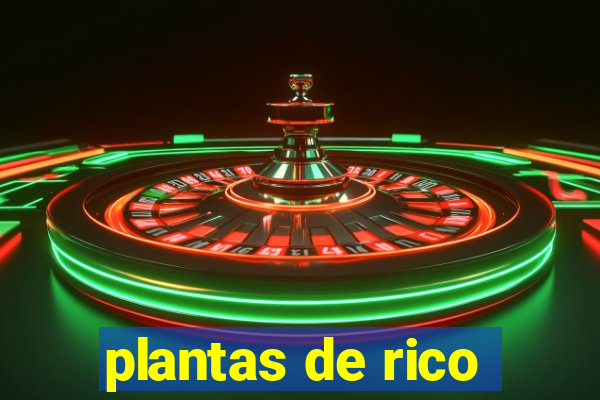 plantas de rico