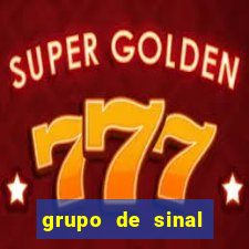 grupo de sinal fortune tiger