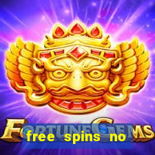 free spins no deposit bonus casino