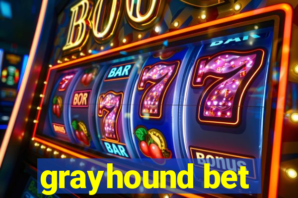 grayhound bet