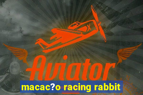 macac?o racing rabbit