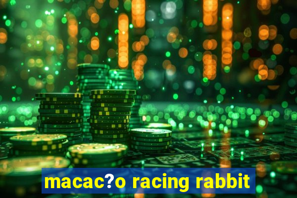 macac?o racing rabbit