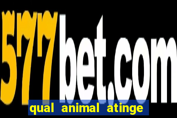 qual animal atinge 230 decibeis