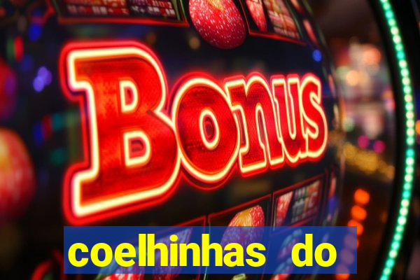 coelhinhas do brasil site