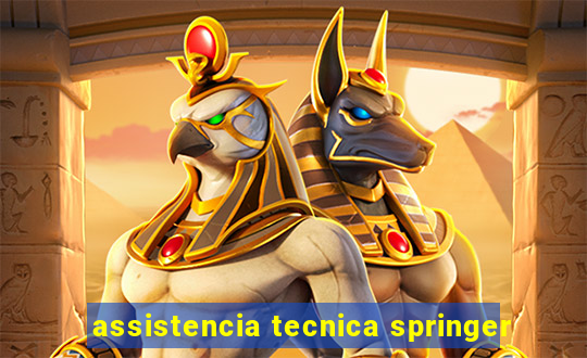 assistencia tecnica springer