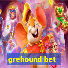 grehound bet