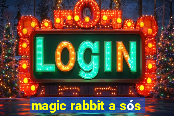 magic rabbit a sós