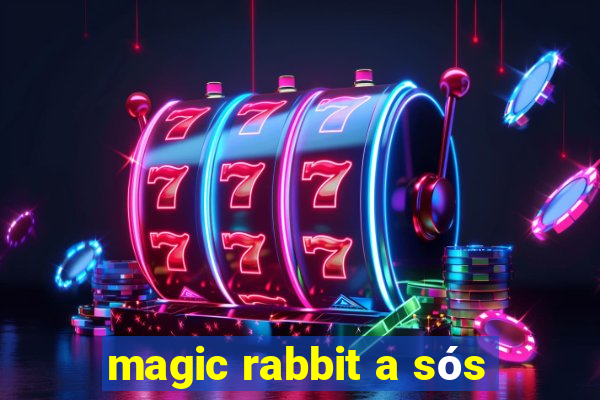 magic rabbit a sós