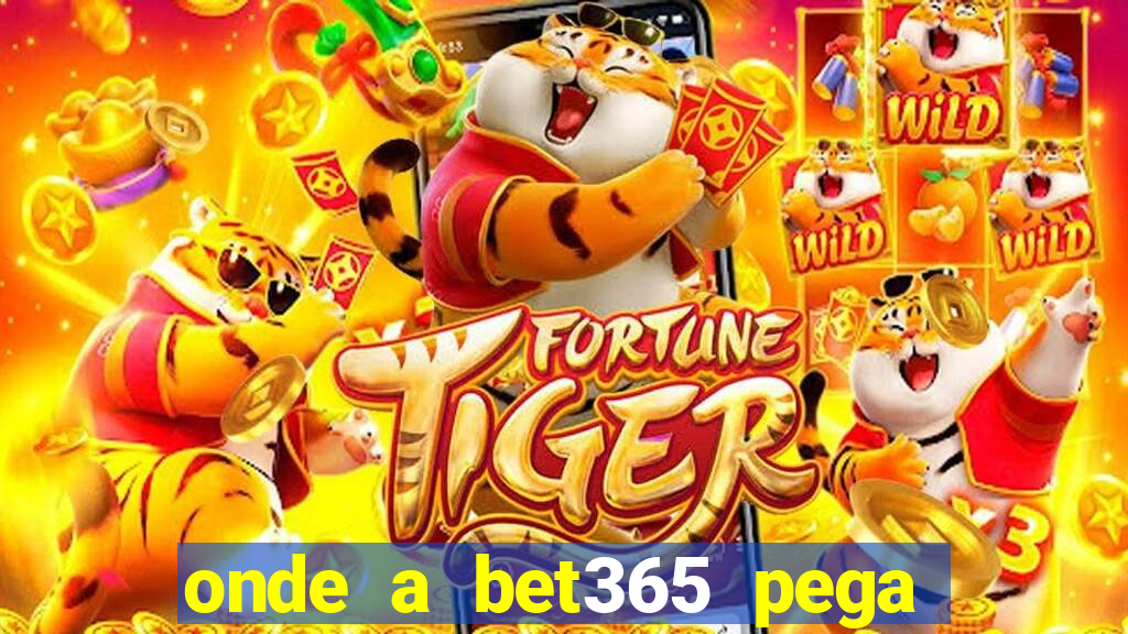 onde a bet365 pega as estatisticas