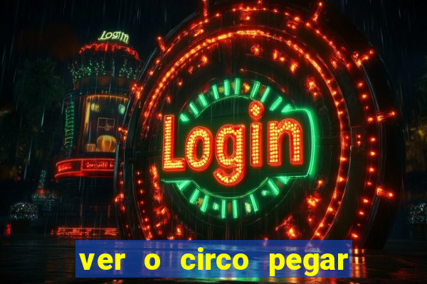 ver o circo pegar fogo significado