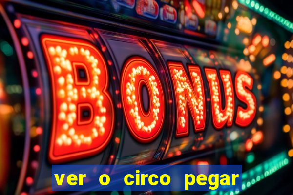 ver o circo pegar fogo significado