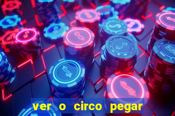 ver o circo pegar fogo significado