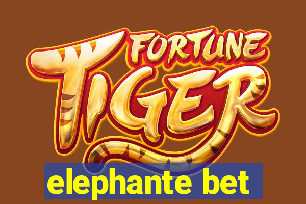 elephante bet