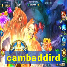 cambaddird