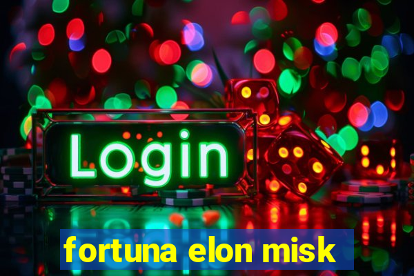 fortuna elon misk