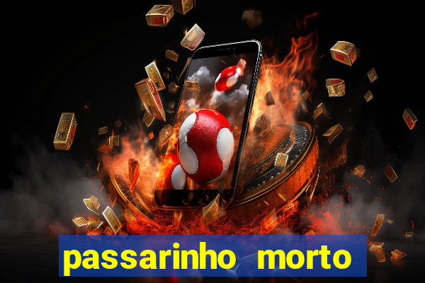 passarinho morto significado espiritual