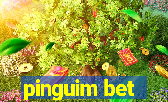 pinguim bet