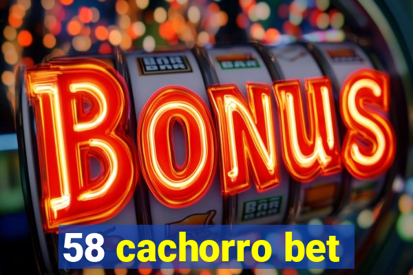 58 cachorro bet