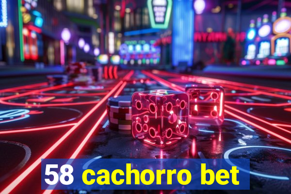 58 cachorro bet