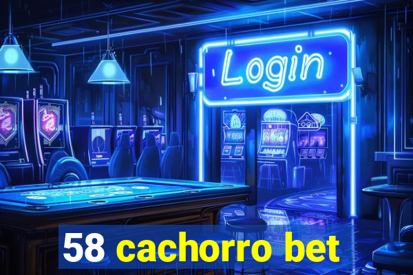 58 cachorro bet