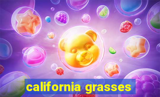 california grasses