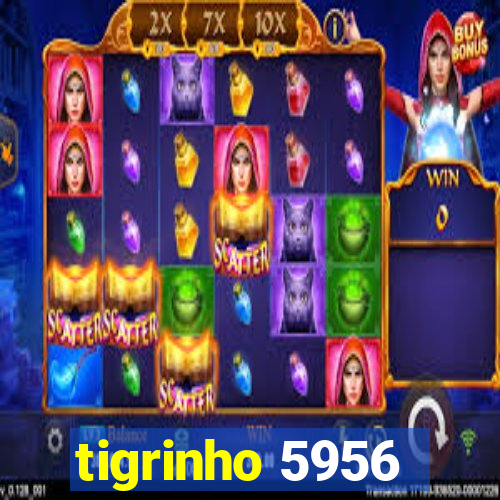 tigrinho 5956