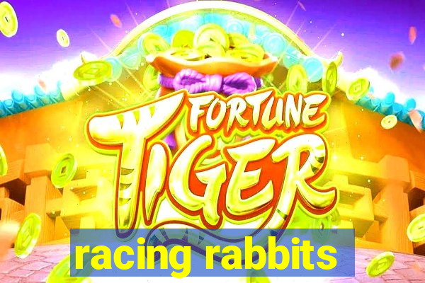 racing rabbits