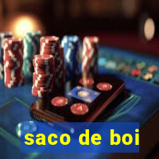 saco de boi