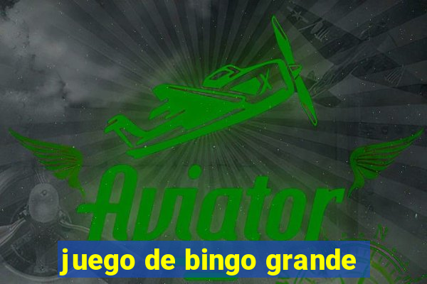 juego de bingo grande