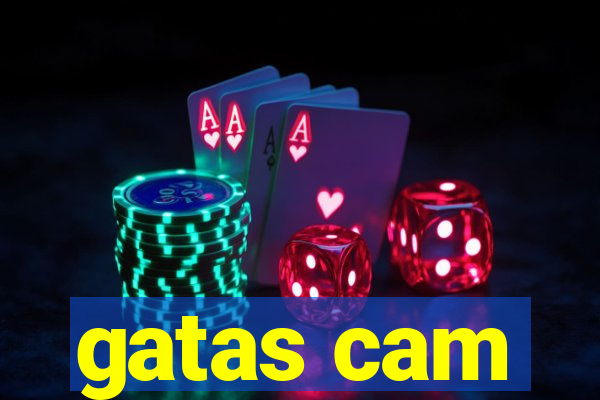 gatas cam