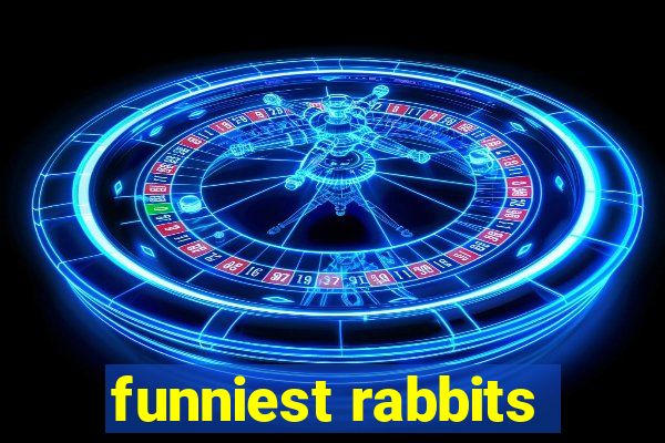 funniest rabbits