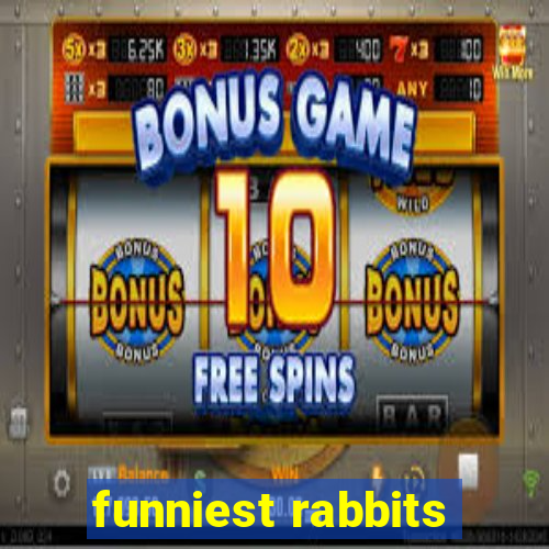 funniest rabbits