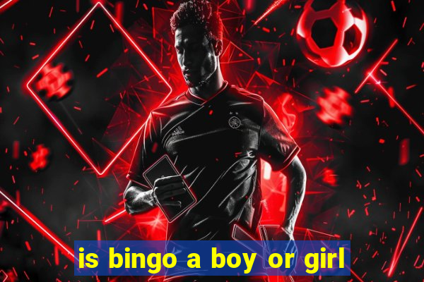 is bingo a boy or girl