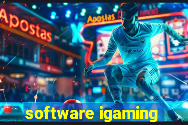 software igaming