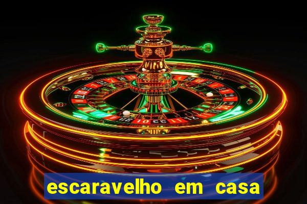 escaravelho em casa significado espiritual