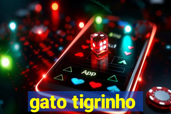 gato tigrinho