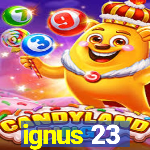 ignus 23