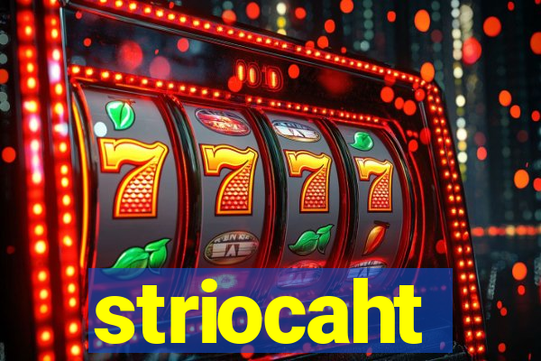 striocaht