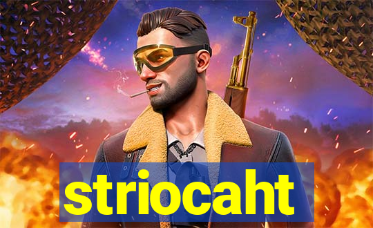 striocaht