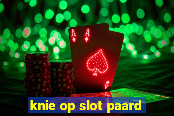 knie op slot paard