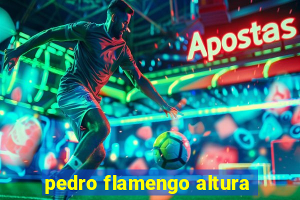 pedro flamengo altura