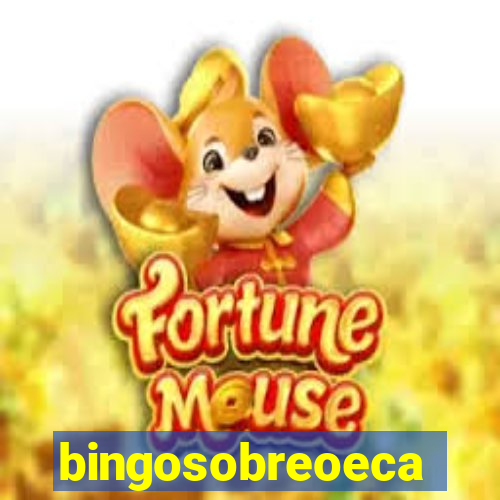 bingosobreoeca