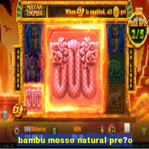 bambu mosso natural pre?o