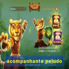 acompanhante peludo