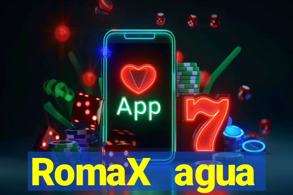 RomaX agua sanitaria fispq agua sanitaria romax