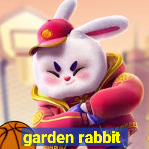 garden rabbit